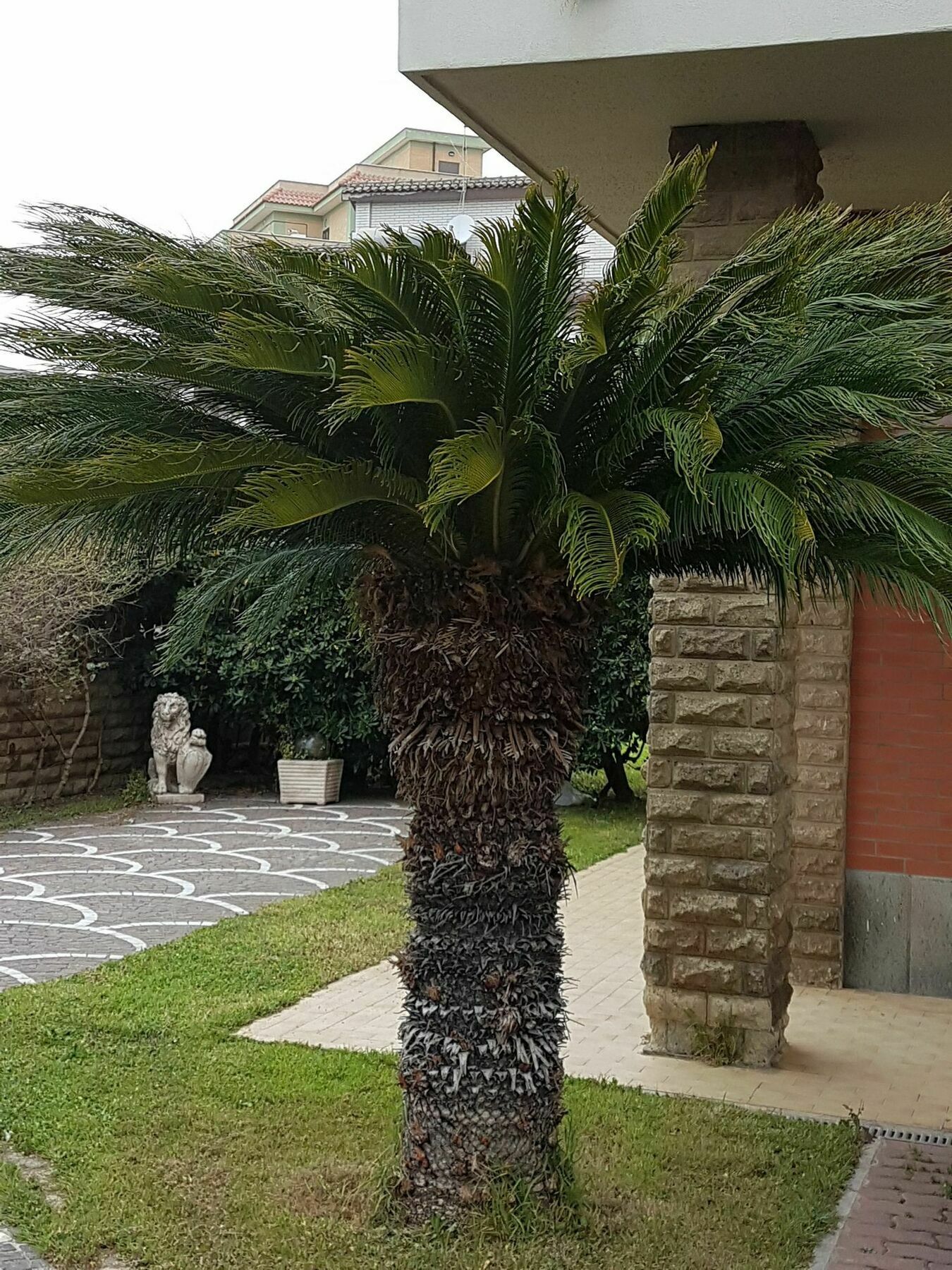Myricae Rooms Affittacamere No Late Arrival Fiumicino Dış mekan fotoğraf